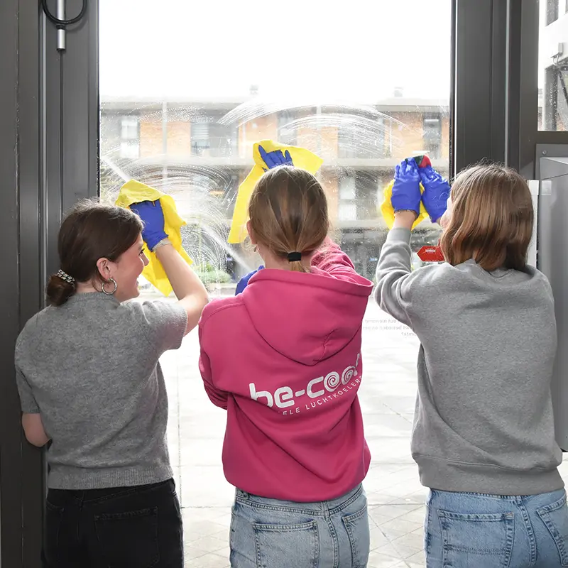Maatschappelijke stage Maatschappelijke stage